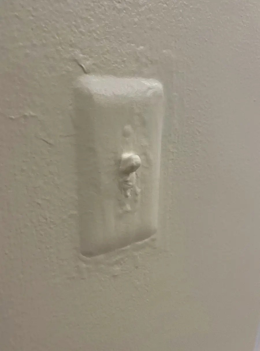 Describe this image